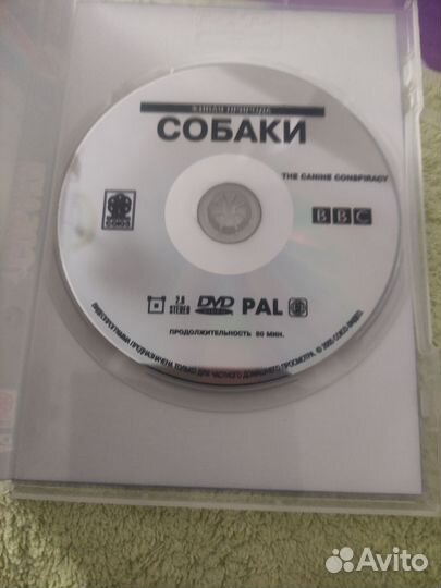 Ввс: Живая природа.Собаки(DVD)