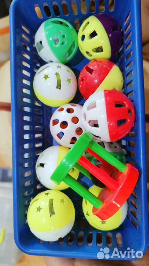 Игрушки для кошек бесплатно