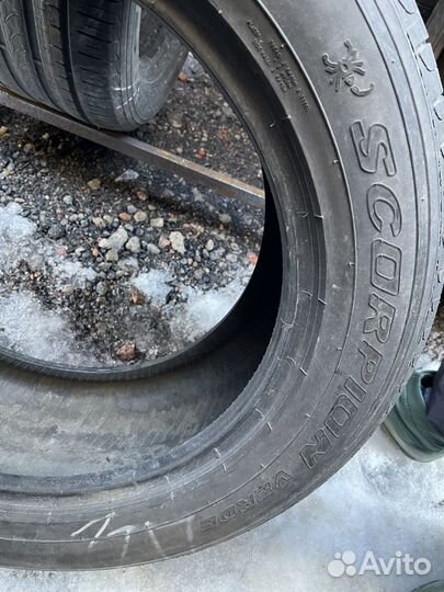 Pirelli Scorpion Verde 265/50 R19 110W