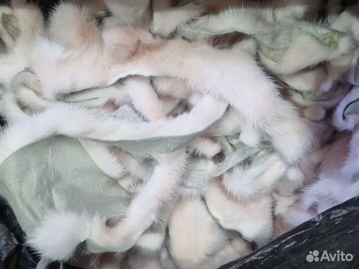 Куски норки