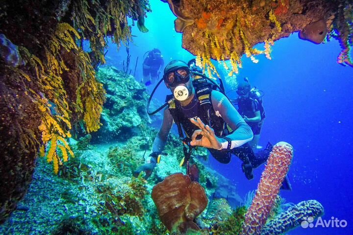 Дайвинг Адлер