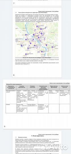 Бизнес план, соцконтракт
