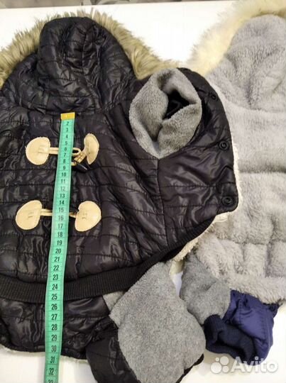 Одежда для маленьких собак