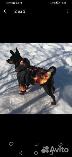 Бомбическая курточка