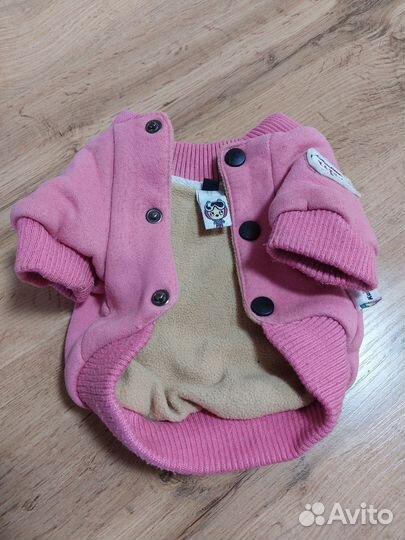 Одежда для собак мелких пород