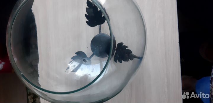 Аквариум круглый