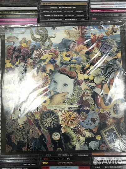 Гражданская оборона 100 лет одиночества винил