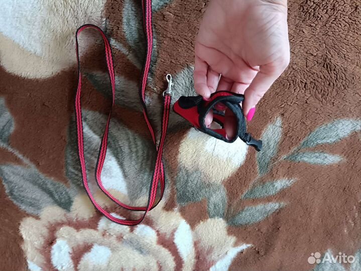 Поводок ошейник для хорька крысы или котёнка