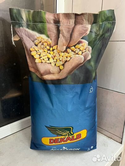 Семена кукурузы дкс
