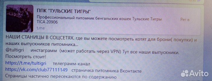 Бенгалята с доставкой