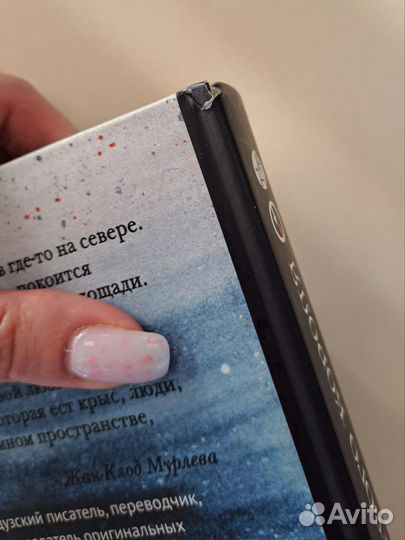 Жан-Клод Мурлева Горе мертвого короля