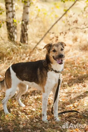 Особенная Зита из приюта