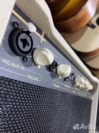 Cort AF30 комбоусилитель для акустической гитары