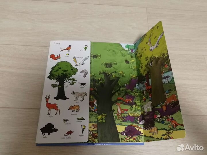 Развивающая детская книга