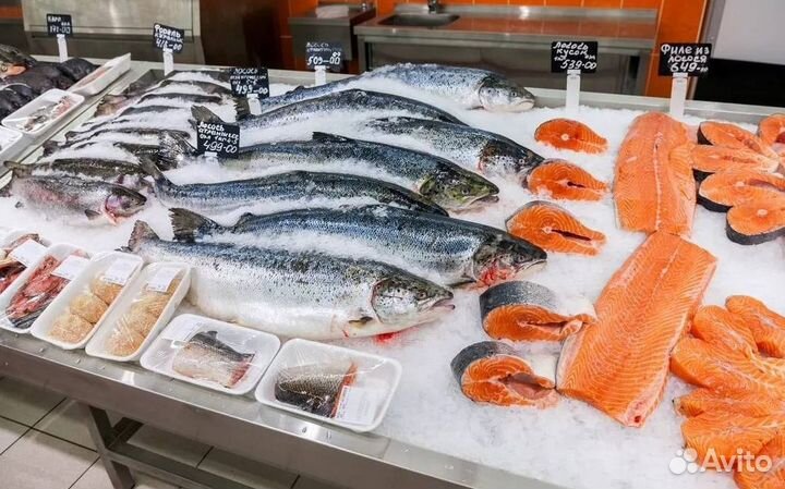Продается прибыльный магазин рыбы и морепродуктов