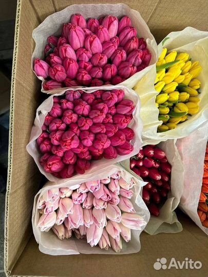 Цветы букеты с доставкой,тюльпаны,8 марта
