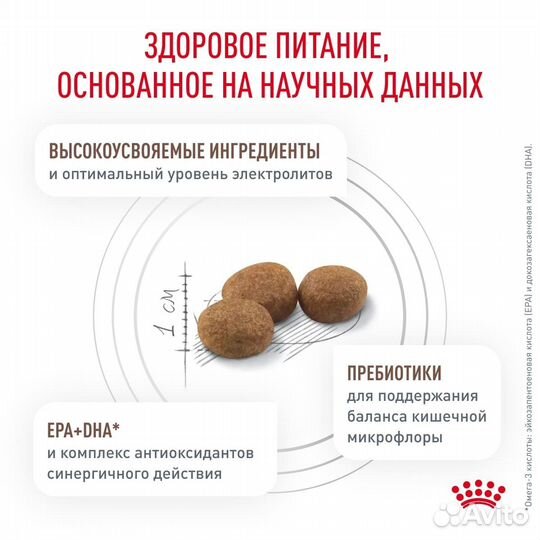 Royal Canin (вет.корма) для кошек склонных к набор