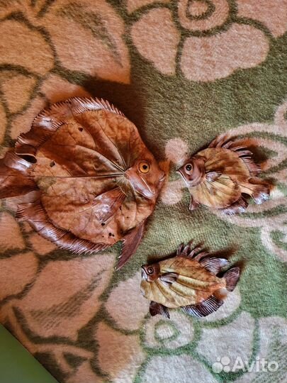 Фарфоровые куклы, статуэтки, декор