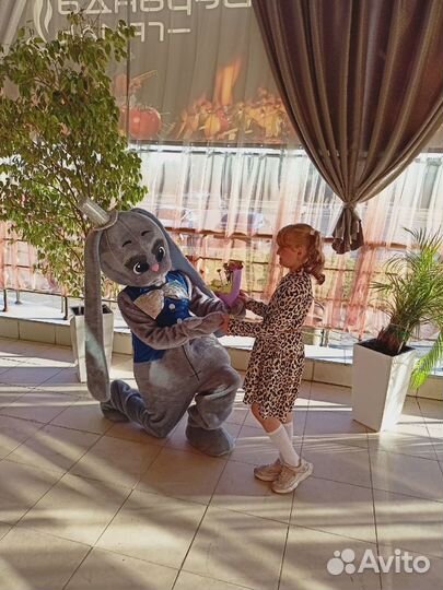 Аниматоры и шоу-программы. 