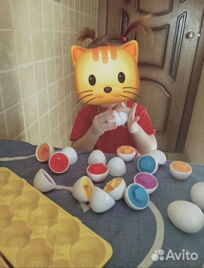 Сортер яйца