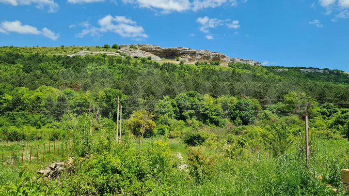 Участок 6,5 сот. (СНТ, ДНП)