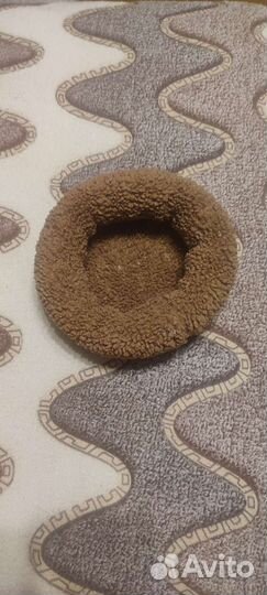 Для грызунов