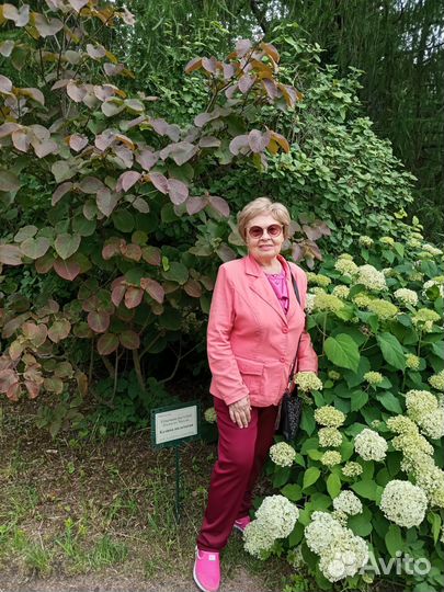 Ищу подработку няней в Приморском районе