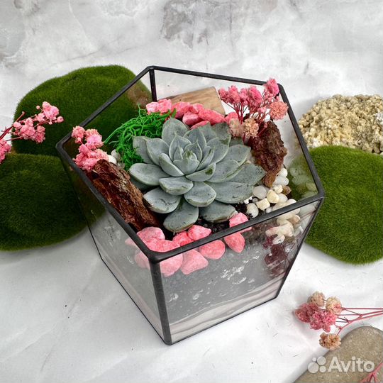 Флорариумы оптом, корпоративный подарок