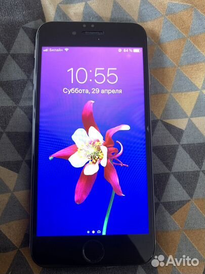 iPhone 6