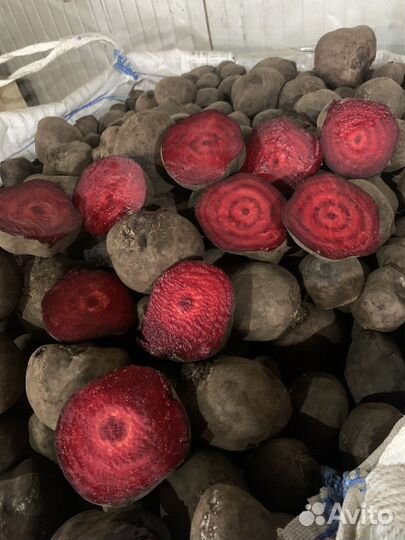 Свекла,Морковь,Лук,Картофель 2 сорт