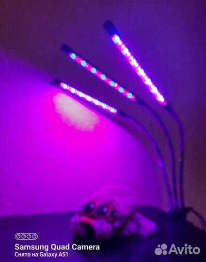 Фитолампа LED для растений и рассады