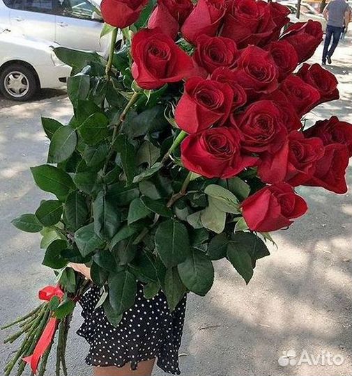 51 Роза, Букеты Цветы Розы 25 101 501 1001