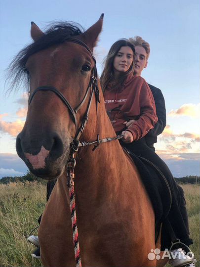 Конные прогулки