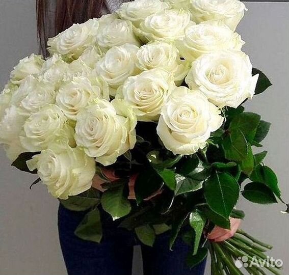 Высокие розы Гигантские розы Доставка цветов