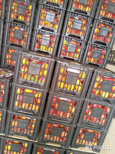 Ящик абрикосов 6-7кг / клубника / малина