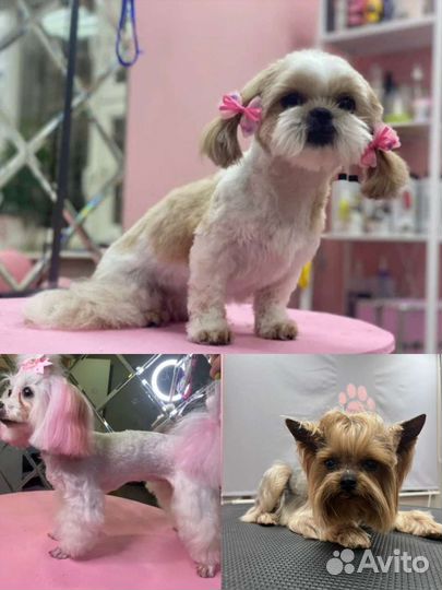 Стрижка/Уход/Экспресс линька собак,кошек выезд дом