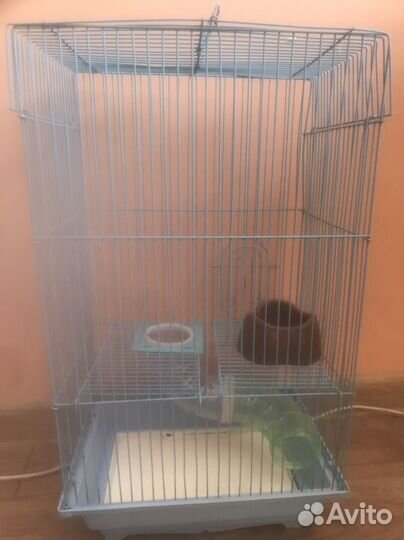 Клетка для грызунов б/у