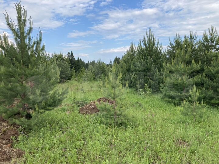 Участок 9,4 сот. (СНТ, ДНП)