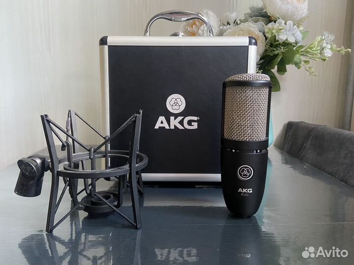 Akg p220