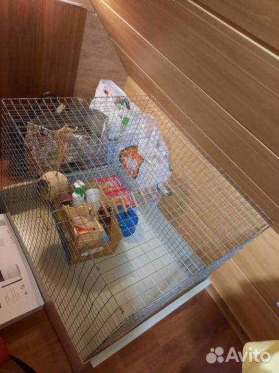 Клетка для грызунов крыс