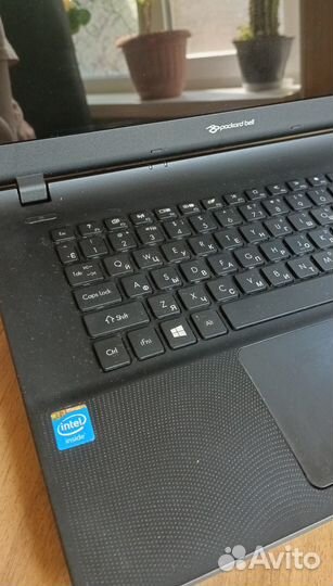 Ноутбук packard bell