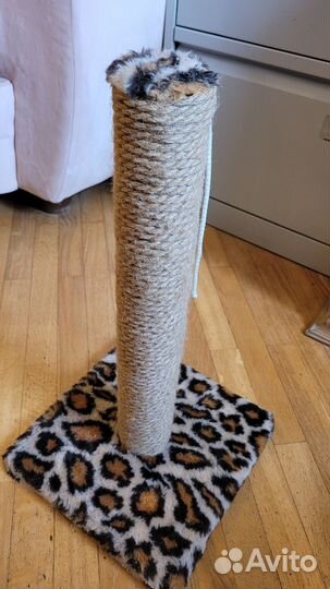 Когтеточка