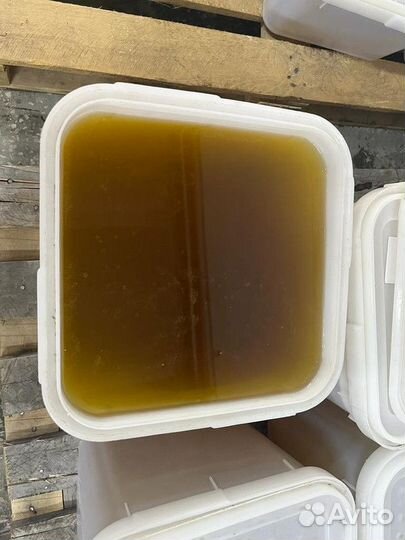 Свежий мед майский оптом