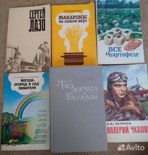 Книги. Разная тематика. Визбор. Распутин. Камни