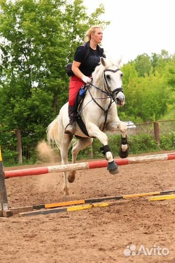 Прокат лошадей в Самаре/Прогулки по лесу верхом
