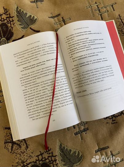 Джен синсеро «ни сы»