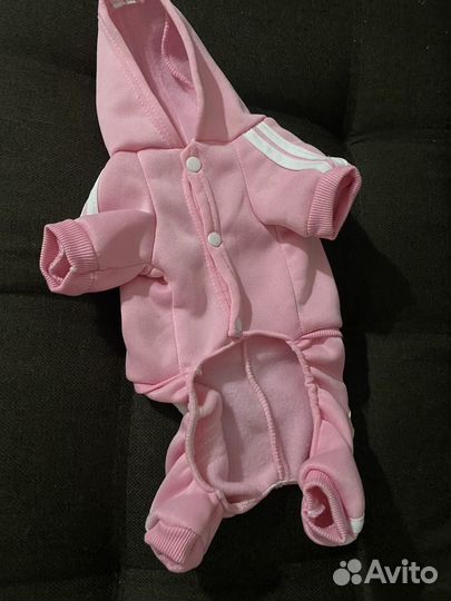 Костюм для собаки