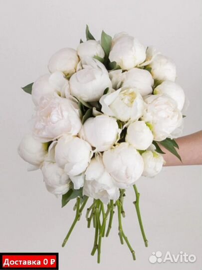 Пионы для мероприятий