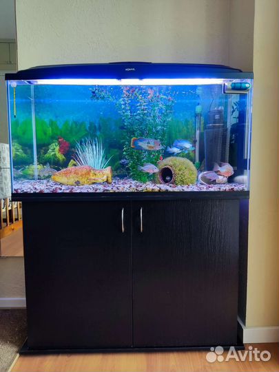 Аквариум