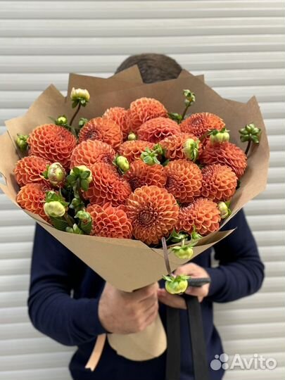 Цветы георгины